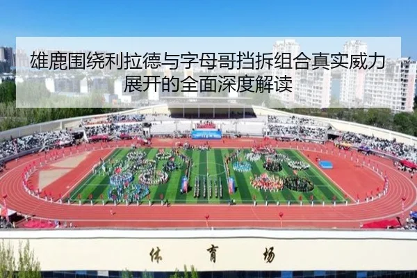 雄鹿围绕利拉德与字母哥挡拆组合真实威力展开的全面深度解读